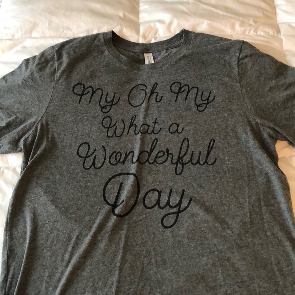 What a Wonderful Day Splash Mountain Disney Shirt